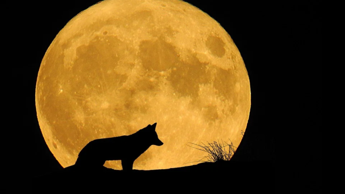 Calendario Fases de Luna llena